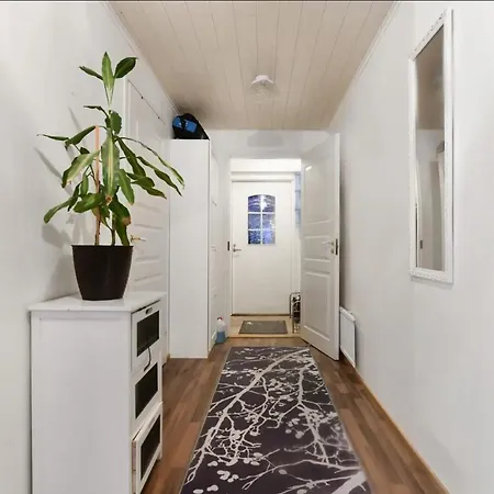 Modern Villa House Rovaniemi
